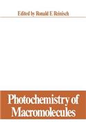 Photochemistry of Macromolecules