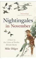 Nightingales in November: A Year in the Lives of Twelve British Birds