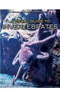 A Visual Guide to Invertebrates