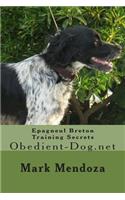 Epagneul Breton Training Secrets: Obedient-Dog.net