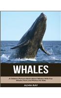 Whales: A Children Pictures Book About Whales With Fun Whales Facts and Photos For Kids