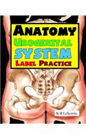 Anatomy Urogenital System Label Practice