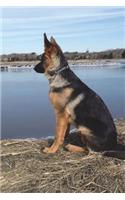 German Shepherd on the Beach Journal: 150 page lined notebook/diary