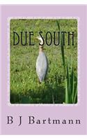 Due South