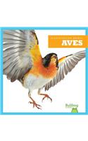 Aves (Birds)