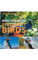 Bird Wonders - Strangest Birds