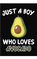 Just a Boy Who Loves Avocado