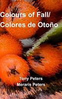 Colours of Fall