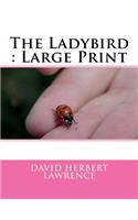 The Ladybird