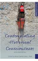 Contemplating Historical Consciousness