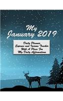 My January 2019