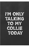 I'm Only Talking to My Collie Today