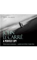 Perfect Spy