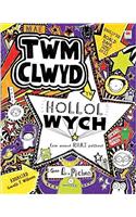 Cyfres Twm Clwyd: Mae Twm Clwyd yn Hollol Wych (Am Wneud Rhai Pethau)