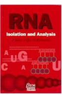 Rna Isolation and Analysis