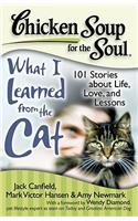 Chicken Soup for the Soul: What I Learned from the Cat