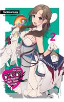 Do You Love Your Mom and Her Two-Hit Multi-Target Attacks?, Vol. 2 (light novel)