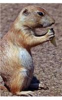 Prairie Dog Notebook