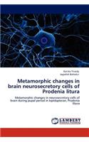 Metamorphic changes in brain neurosecretory cells of Prodenia litura