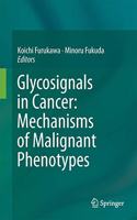 Glycosignals in Cancer: Mechanisms of Malignant Phenotypes: Mechanisms of Malignant Phenotypes