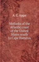 Mollusks of the Atlantic coast of the United States south to Cape Hatteras