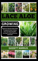 Lace Aloe Growing