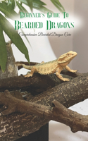 Beginner's Guide To Bearded Dragons