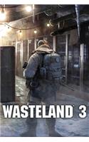 Wasteland 3