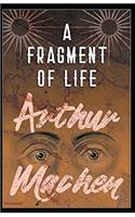 A Fragment of Life: Annotated