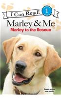 Marley & Me: Marley to the Rescue!