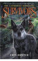 Survivors: The Gathering Darkness #2: Dead of Night