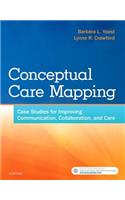 Conceptual Care Mapping