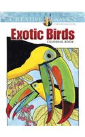 Creative Haven Exotic Birds Coloring Book