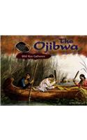 The Ojibwa