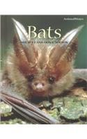 Bats