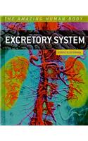 Excretory System