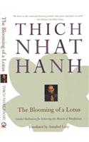 The Blooming of a Lotus
