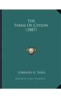 The Ferns Of Ceylon (1887)