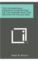 Elizabethan Puritan's Conception of the Nature and the Destiny of Fallen Man