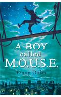 A Boy Called MOUSE