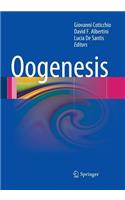 Oogenesis