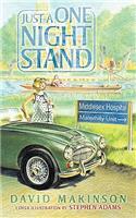 Just a One Night Stand
