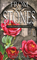 From the Stones: A Colleen Broadhurst Adventure