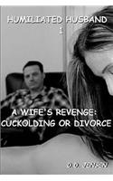 Wife's Revenge