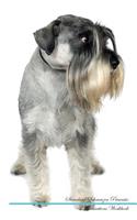 Standard Schnauzer Affirmations Workbook Standard Schnauzer Presents: Positive and Loving Affirmations Workbook. Includes: Mentoring Questions, Guidance, Supporting You.