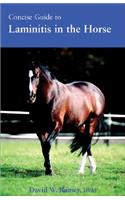 Concise Guide to Laminitis in the Horse