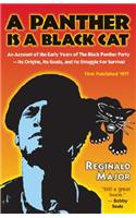 Panther Is a Black Cat