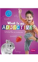 What Is an Adjective?