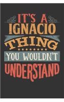 Its A Ignacio Thing You Wouldnt Understand