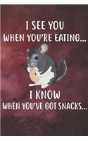 I See You When You're Eating I Know When You've Got Snacks Notebook Journal